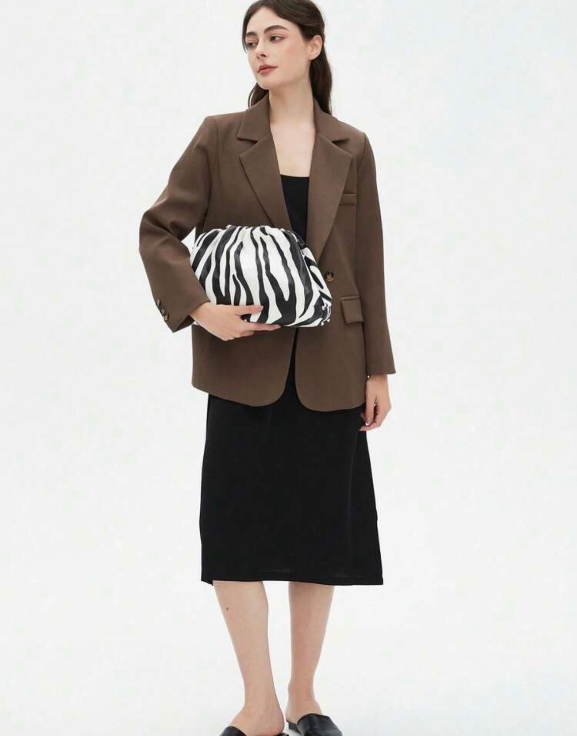 The Zebra
