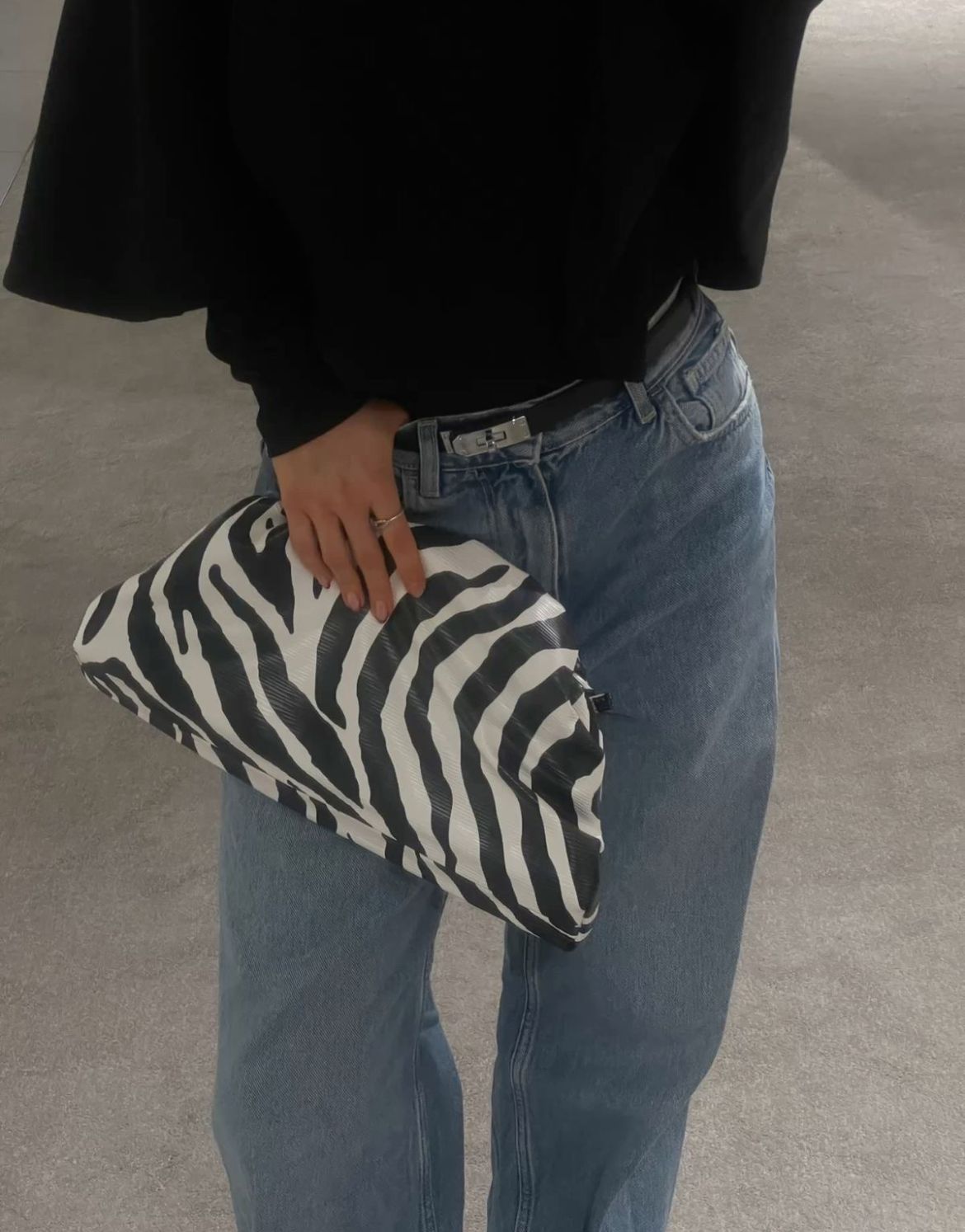 The Zebra